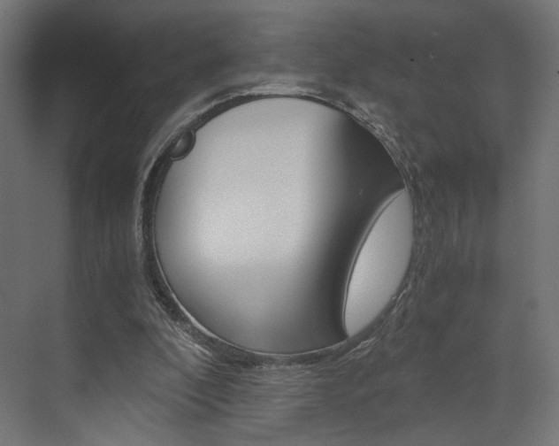 X0000073530296200607311022