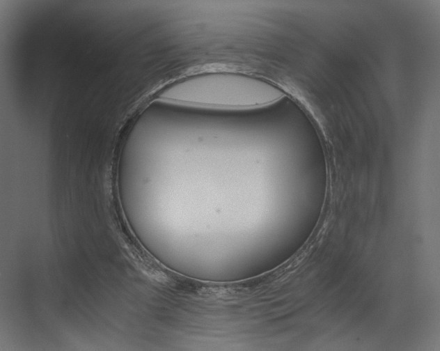 X0000073530297200607311022