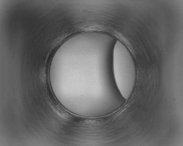 X0000073530298200607311022