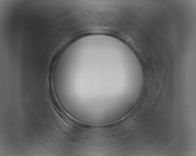 X0000073530299200607311022