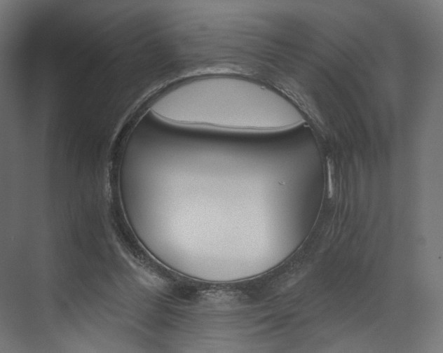 X0000073530300200607311022