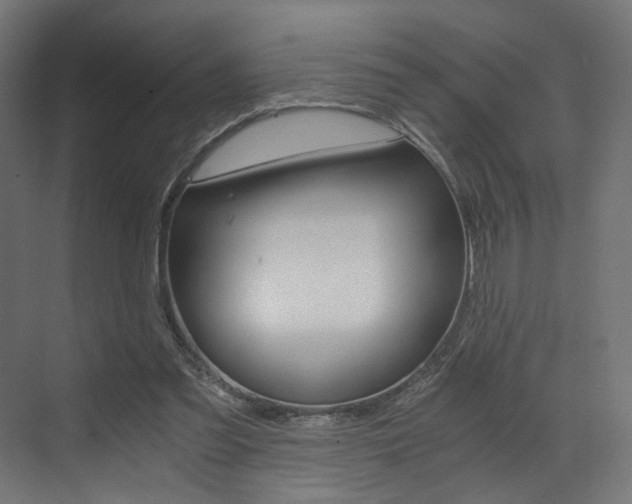 X0000073530301200607311022