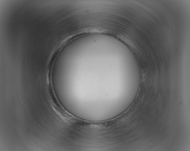 X0000073530302200607311022