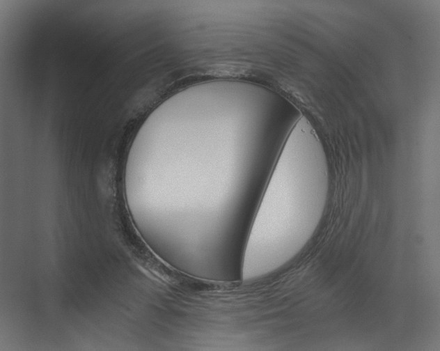 X0000073530303200607311022