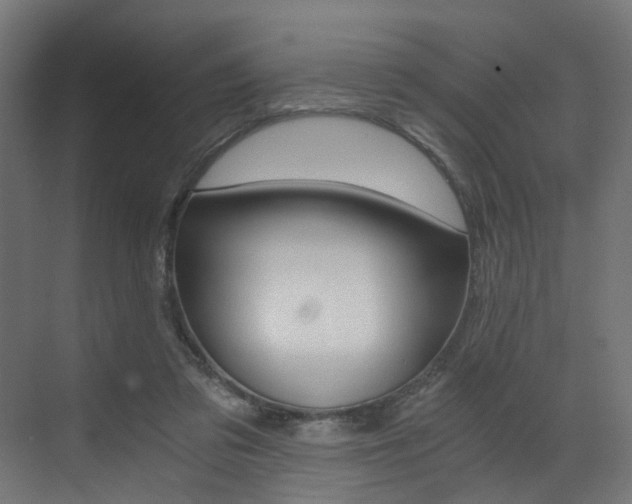 X0000073530309200607311022