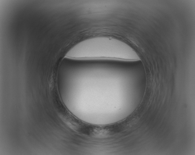 X0000073530311200607311022