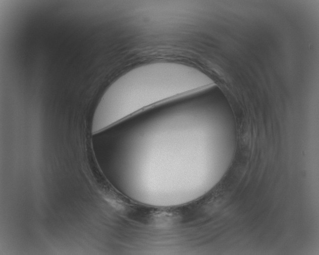 X0000073530315200607311022