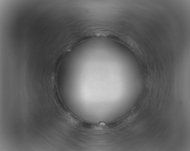 X0000073530321200607311022