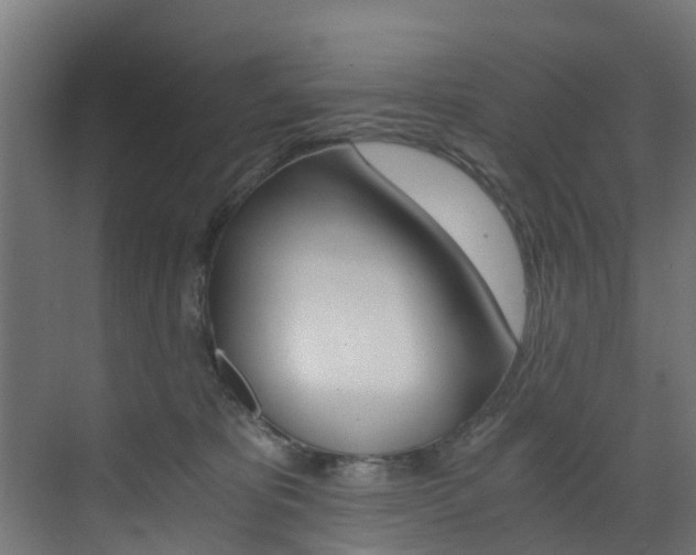 X0000073530325200607311022