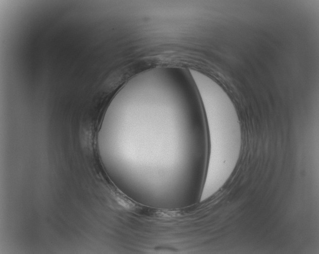 X0000073530333200607311022