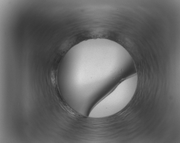 X0000073530335200607311022