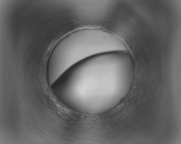 X0000073530337200607311021