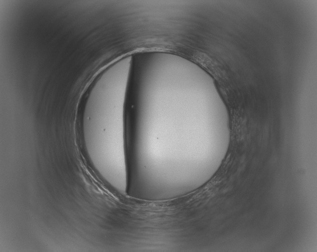 X0000073530338200607311021
