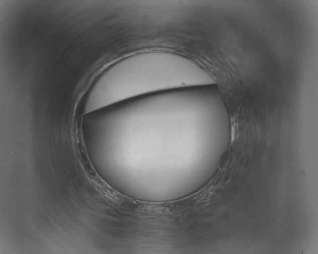 X0000073530339200607311021