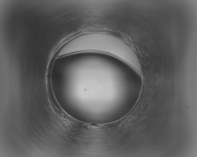 X0000073530340200607311021