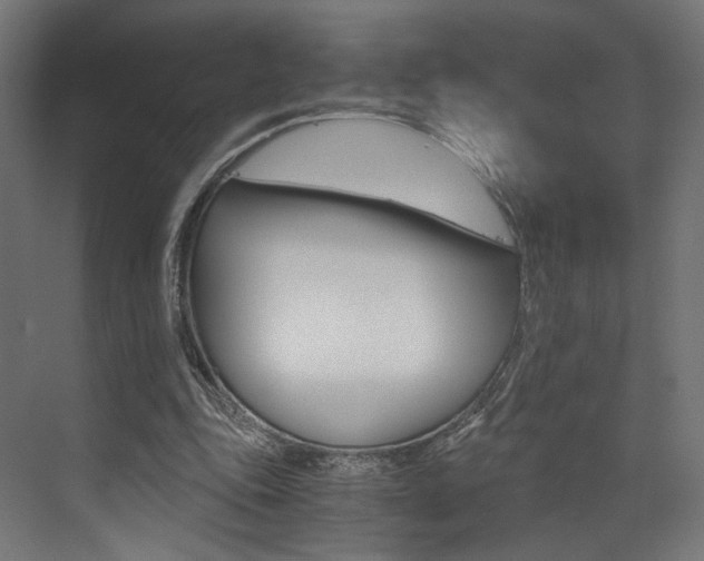 X0000073530343200607311021