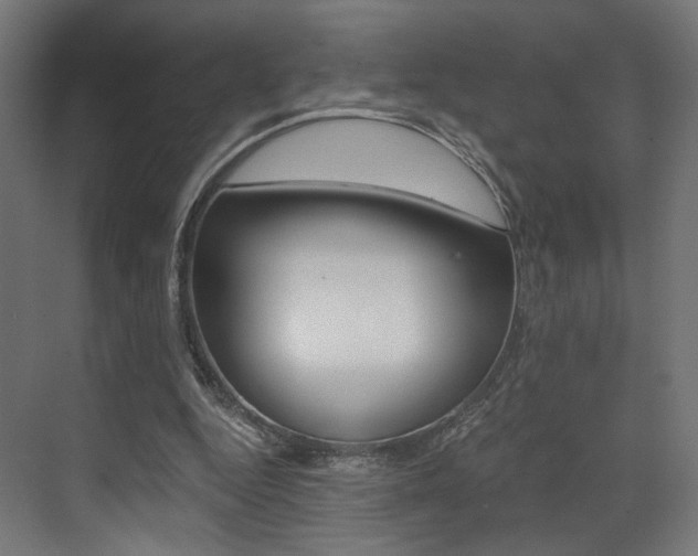 X0000073530344200607311021