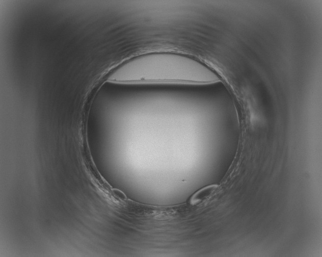 X0000073530345200607311021