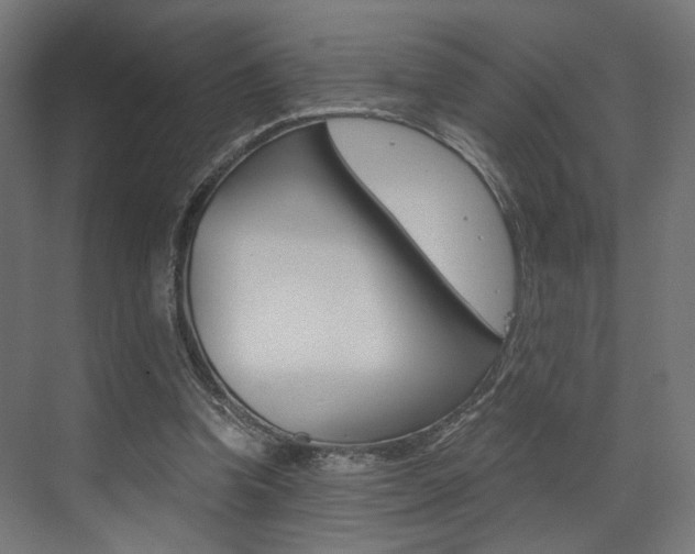 X0000073530346200607311021