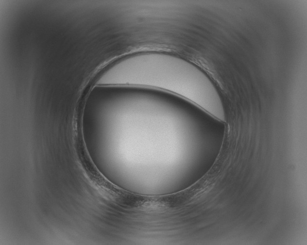 X0000073530348200607311021