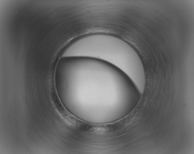 X0000073530352200607311021