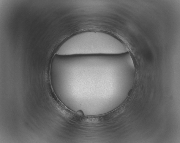 X0000073530353200607311021