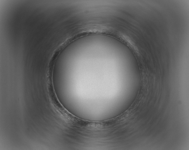 X0000073530354200607311021