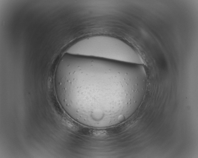 X0000073530355200607311021