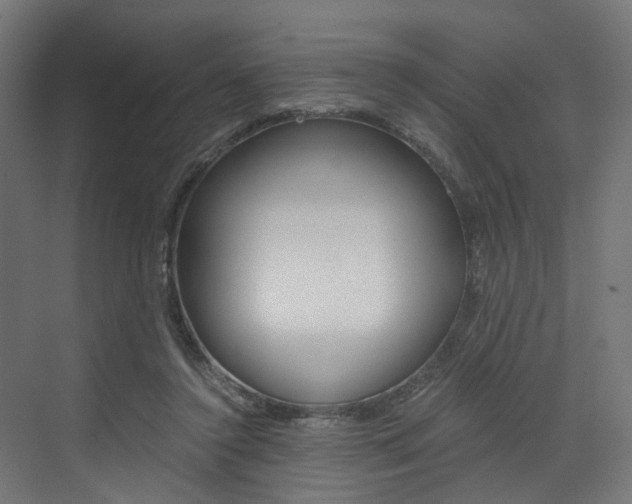 X0000073530356200607311021