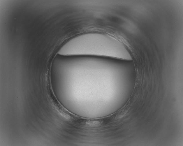 X0000073530357200607311021
