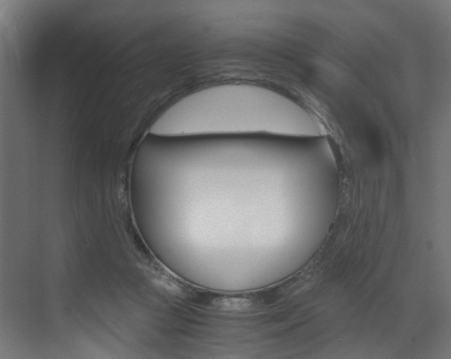 X0000073530361200607311021