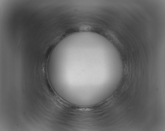 X0000073530363200607311021