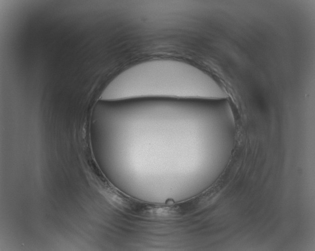 X0000073530365200607311021