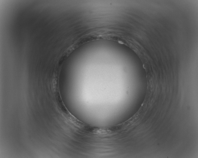 X0000073530372200607311021