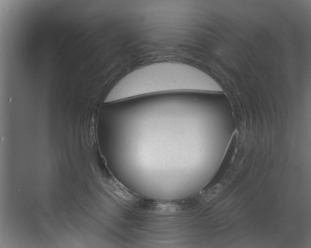 X0000073530376200607311022