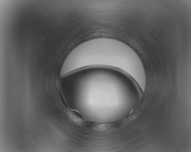 X0000073530382200607311022