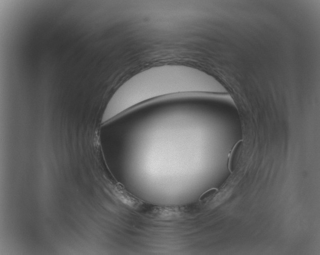 X0000073530384200607311022