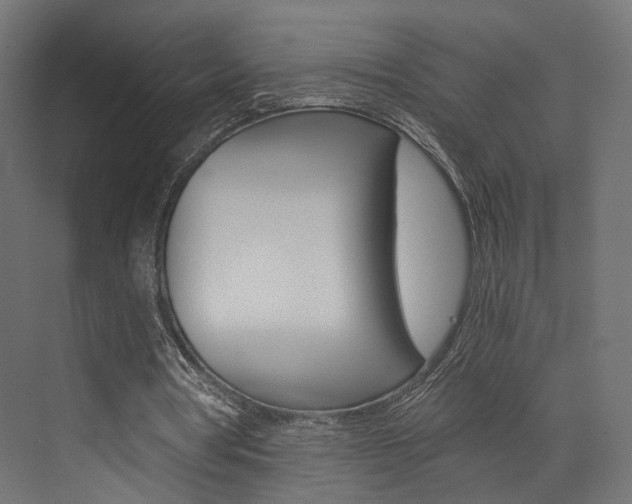 X0000073530386200607311021