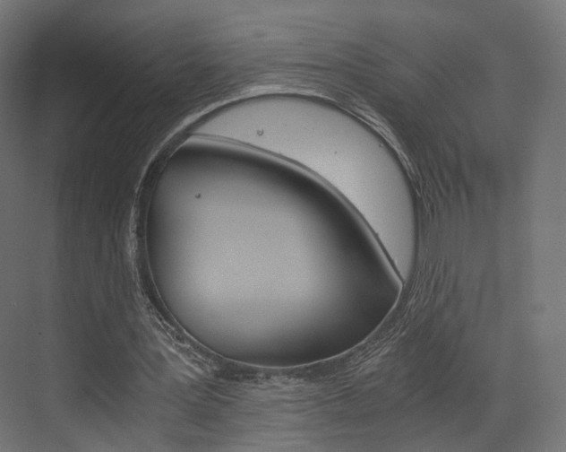 X0000073530387200607311021