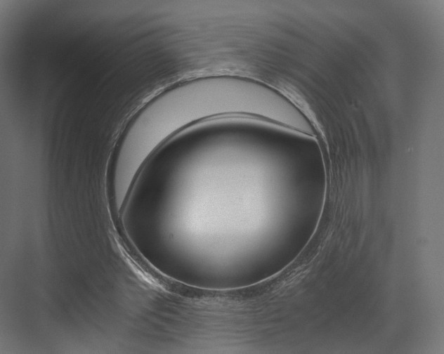 X0000073530389200607311021