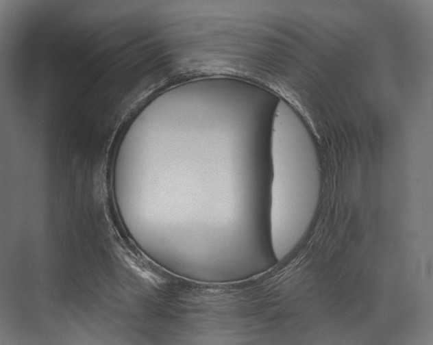 X0000073530390200607311021