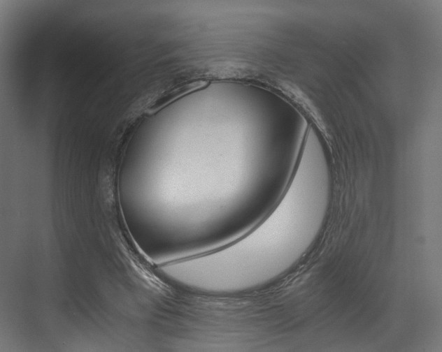 X0000073530393200607311021