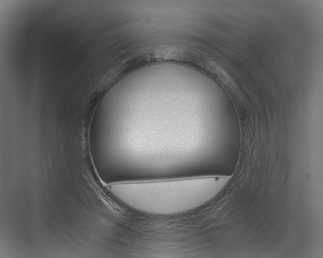 X0000073530401200607311021