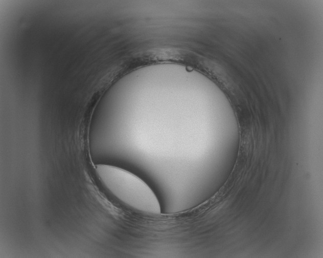 X0000073530402200607311021