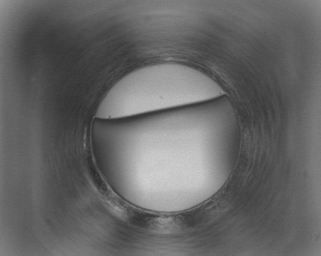 X0000073530406200607311020