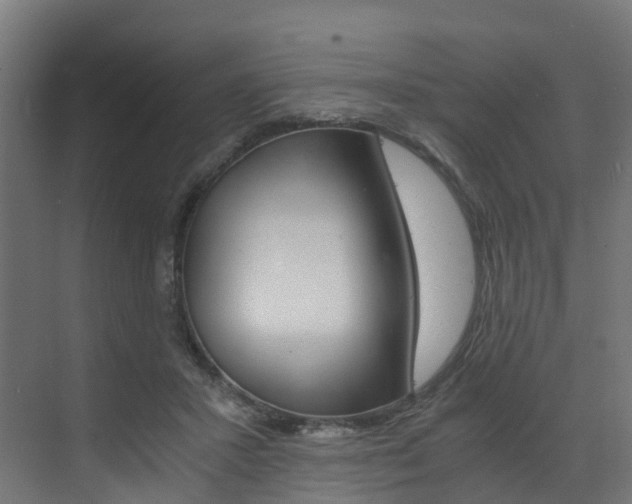 X0000073530407200607311020