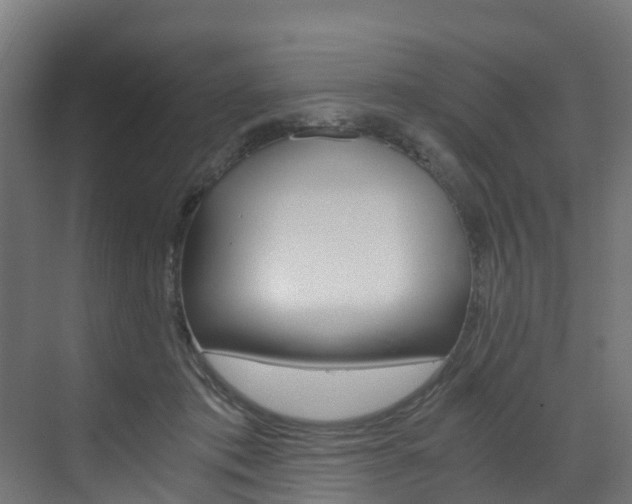X0000073530413200607311020