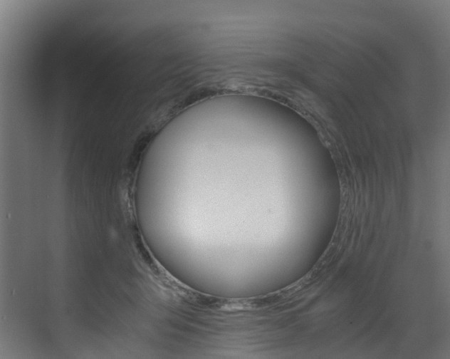 X0000073530415200607311020