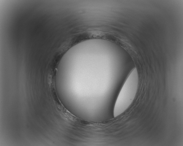 X0000073530417200607311020