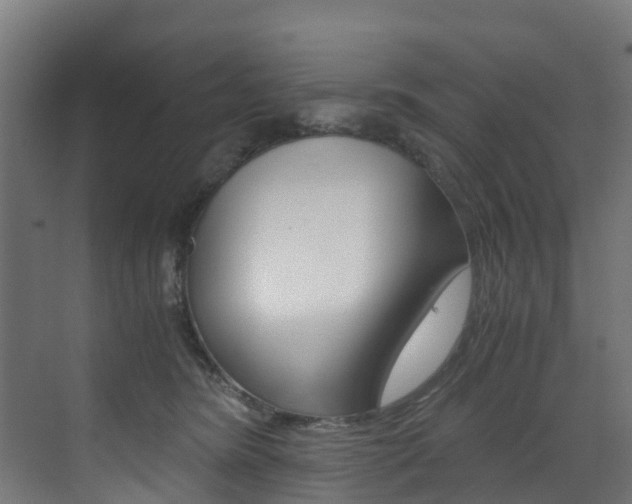X0000073530420200607311020